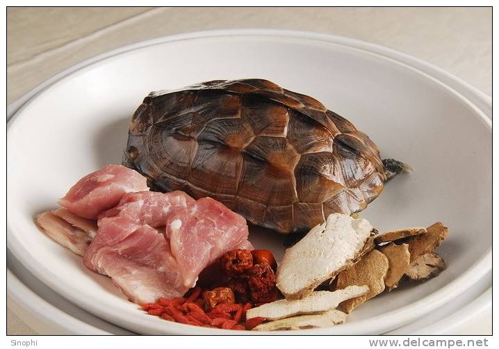 AN01-110   @  Food Dishes  Turtle  Tortue Schildkröten Tortugas ,    ( Postal Stationery , Articles Postaux ) - Schildkröten