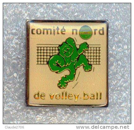 Rare Pin´s Volley Comité Nord ( Département 59 ) - Pallavolo
