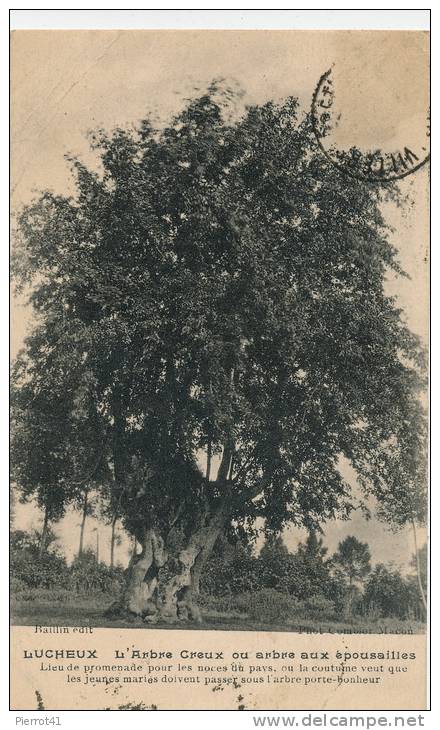 LUCHEUX - L'Arbre Creux Ou Arbre Aux Époussailles - Lucheux