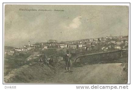 MACCHIAGODENA ( ISERNIA ) PANORAMA - 1929 - Isernia