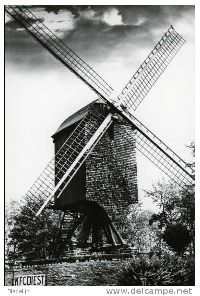 DIEST (Vlaams-Brabant) - Molen/moulin - Mooie Prentkaart Van De Lindemolen Kort Na Zijn Oprichting - Diest