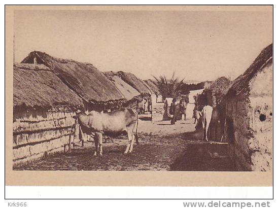 SOMALIA   Nice Postcard - Somalie