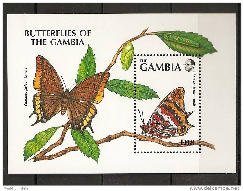 Gambie Gambia 1991 N° BF 125 ** Faune, Papillon, Charaxes Jasius Male - Gambie (1965-...)