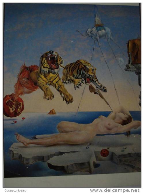 46  SALVADOR DALI PAINTING PEINTRE PINTURA  PEINTURE GEMÄLDE POSTCARD   OTHERS IN MY STORE - Peintures & Tableaux