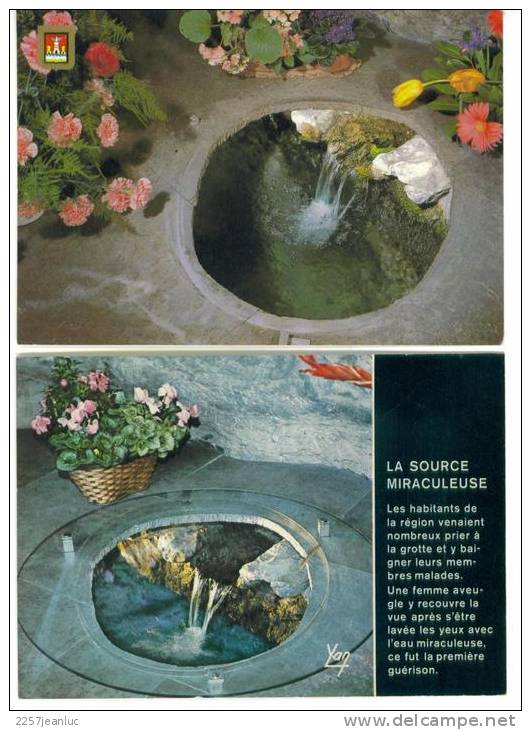 Lot De 2 Cpm  De La Source Miraculeuse De Lourdes - Lourdes