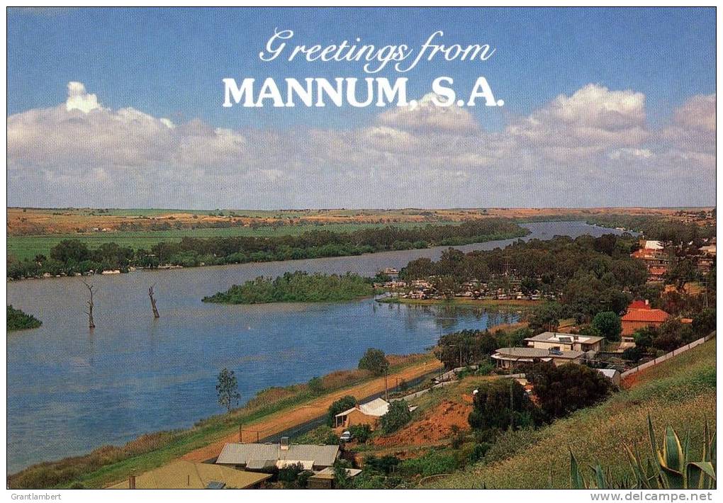 Mannum, Historic Town On Murray River, SA -Unused Aust Souvenirs - Autres & Non Classés