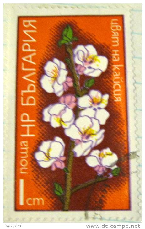 Bulgaria 1975 Fruit Tree Blossoms Apple 1s - Used - Used Stamps