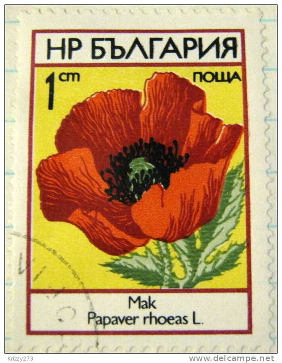 Bulgaria 1973 Poppy Papaver Rhoeas 1s - Used - Used Stamps