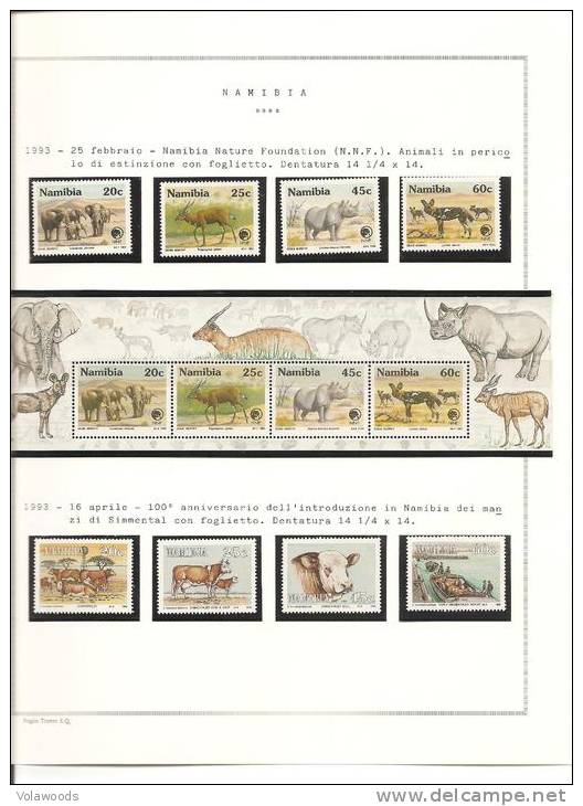 Namibia - collezione montata su fogli artigianali completa dal 1990 al 1996 - mancanti 2 serie di poco valore