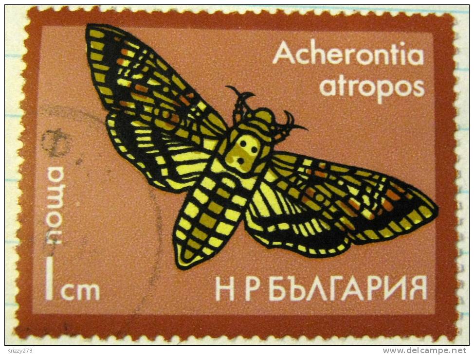 Bulgaria 1975 Moths Acherontia Atropos 1s - Used - Used Stamps