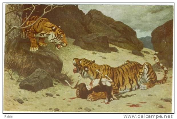 CPA Felin Tigre Tiger G. Rotig  Salon De Paris Carte Non Circulé BE - Tigri