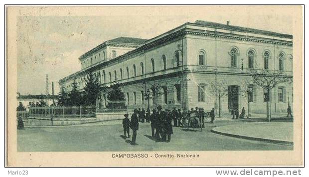 Campobasso - Convitto Nazionale - Campobasso