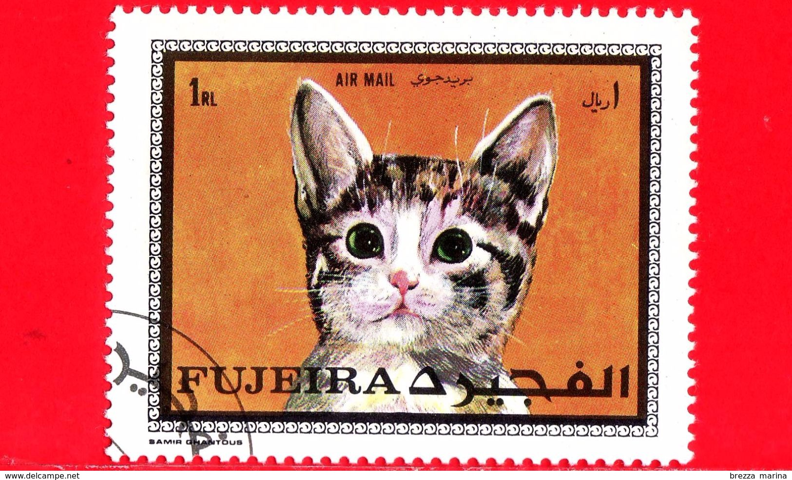 FUJEIRA - 1970 - GATTO - CAT - Felis Silvestris Catus - 1 RL - Fujeira