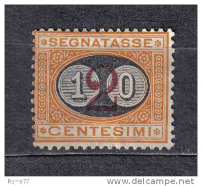 AP59 - REGNO Segnatasse , Il N. 17 Senza Gomma - Strafport