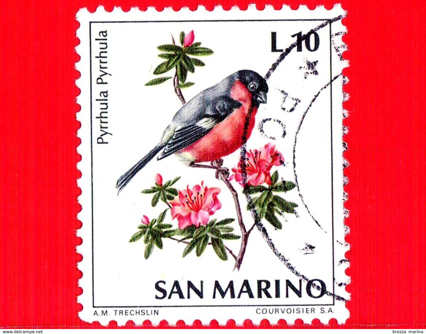 SAN MARINO - Usato - 1972 - Fauna Avicola - 10 L. &bull; Ciuffolotto &bull; - Uccelli - Birds - Oiseux - Usados