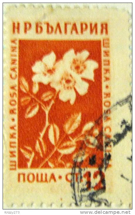 Bulgaria 1953 Wild Rose 12s - Used - Gebraucht
