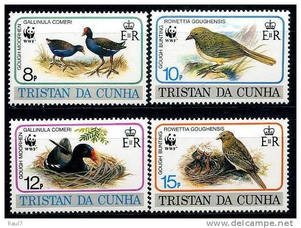 TRISTAN DA CUNHA 4v NEUFS ** WWF  MNH OISEAUX - Tristan Da Cunha