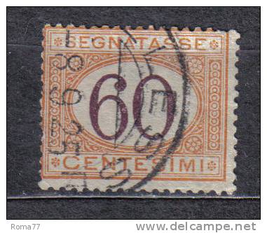 AP210 - REGNO 1924 , Segnatasse Il 60  Cent N. 33  Used. - Taxe