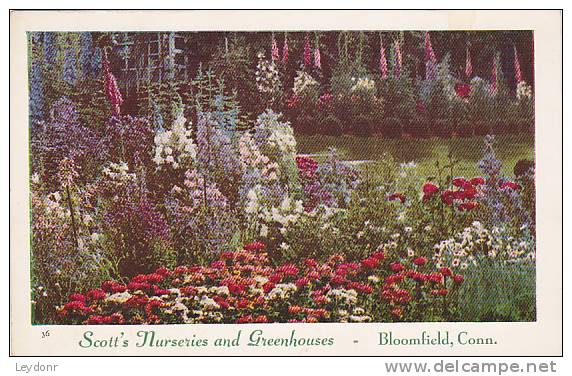 Scott's Nurseries And Greenhouse, Bloomfield, Connecticut - Andere & Zonder Classificatie