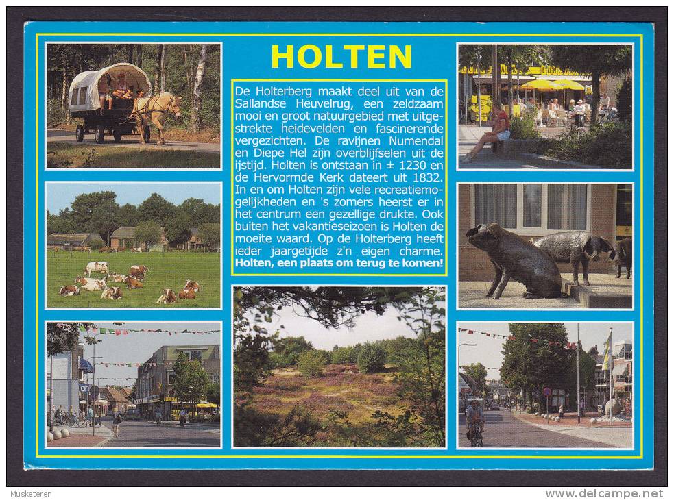 Netherlands PPC Overijssel Groeten Uit Holten - Holten