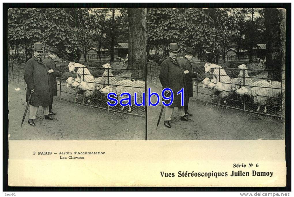 Vues Stéréoscopiques  Julien Damoy -  Paris - Jardin D'Acclimatation - Les Chèvres  - Réf : 20462 - Cartes Stéréoscopiques