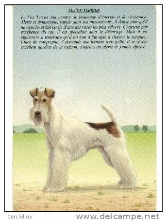 CPM  Chien FOX TERRIER Illustration JC SENEE - Dogs