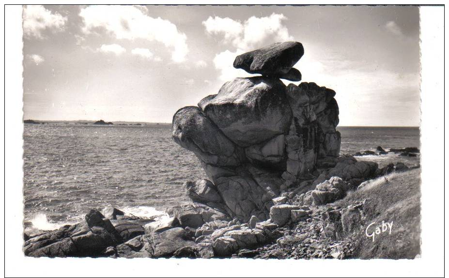 CPSM SAINT SAMSON EN PLOUGASNOU, Le Crapaud - Autres & Non Classés