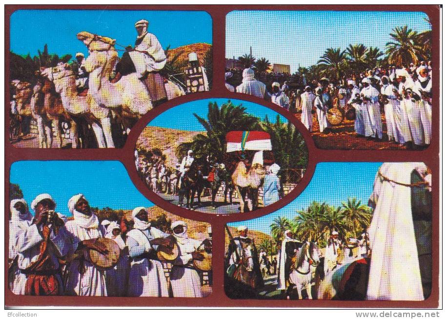 Algérie,Afrique,Wilaya De Ghardaia,Metlili,féte Du Méhari En Mars 1983,folklore,costumes - Ghardaia