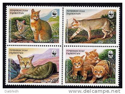 TAJIKISTAN  2002 Reed Cats  MNH / **. - Tajikistan