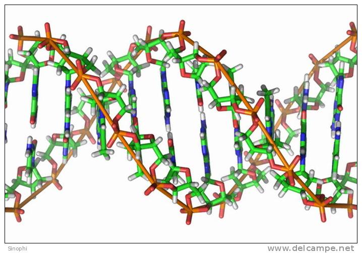 ( AN03-046  ) @      DNA Chemistry Biochemistry Gene  .   Pre-stamped Card  Postal Stationery- Articles Postaux - Chemistry