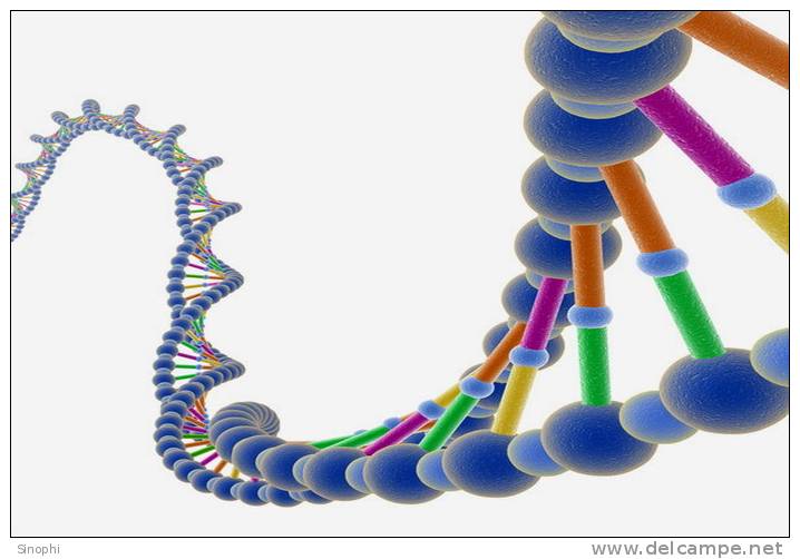 ( AN03-049  ) @      DNA Chemistry Biochemistry Gene  .   Pre-stamped Card  Postal Stationery- Articles Postaux - Chemistry