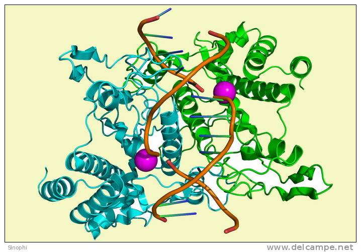 ( AN03-059  ) @      DNA Chemistry Biochemistry Gene  .   Pre-stamped Card  Postal Stationery- Articles Postaux - Chimie