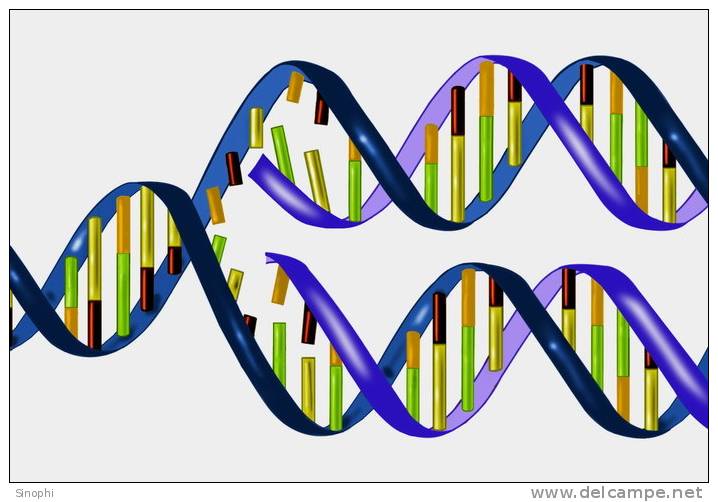 ( AN03-064  ) @      DNA Chemistry Biochemistry Gene  .   Pre-stamped Card  Postal Stationery- Articles Postaux - Chemistry