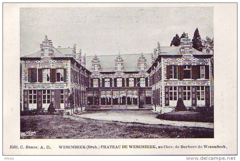 WESEMBEEK = Château (au Chev. De Burbure) Vierge - Wezembeek-Oppem