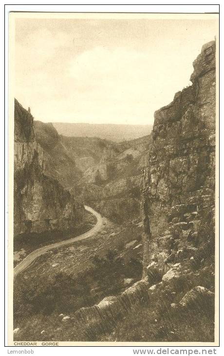 UK, United Kingdom, Cheddar Gorge, Early 1900s Unused Postcard [P7452] - Cheddar