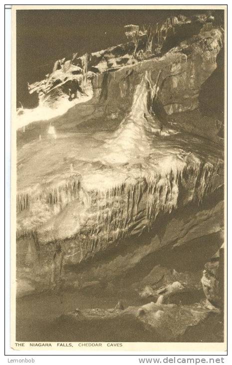 UK, United Kingdom, The Niagara Falls, Cheddar Caves, Early 1900s Unused Postcard [P7453] - Cheddar