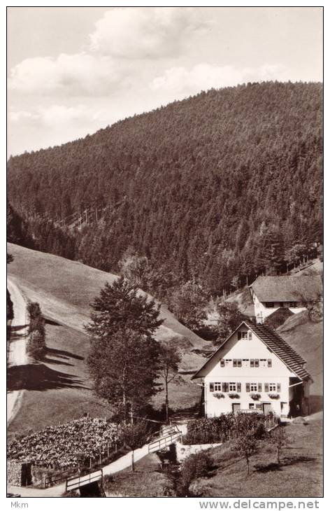 Schwartzwald 600/1000 M ü. M. Haus Maier - Bad Rippoldsau - Schapbach