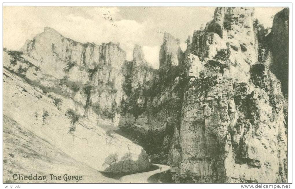 UK, United Kingdom, Cheddar, The Gorge, 1945 Used Postcard [P7492] - Cheddar