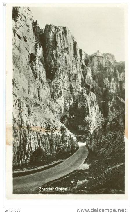 UK, United Kingdom, Cheddar Gorge, Old Unused Real Photo Postcard [P7500] - Cheddar