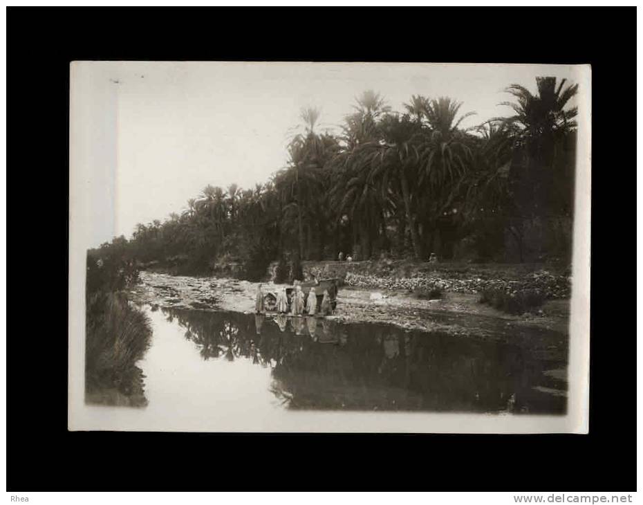 PHOTO - ALGERIE - Scènes Algériennes à BISKRA - L´Oasis De Biskra - Afrique