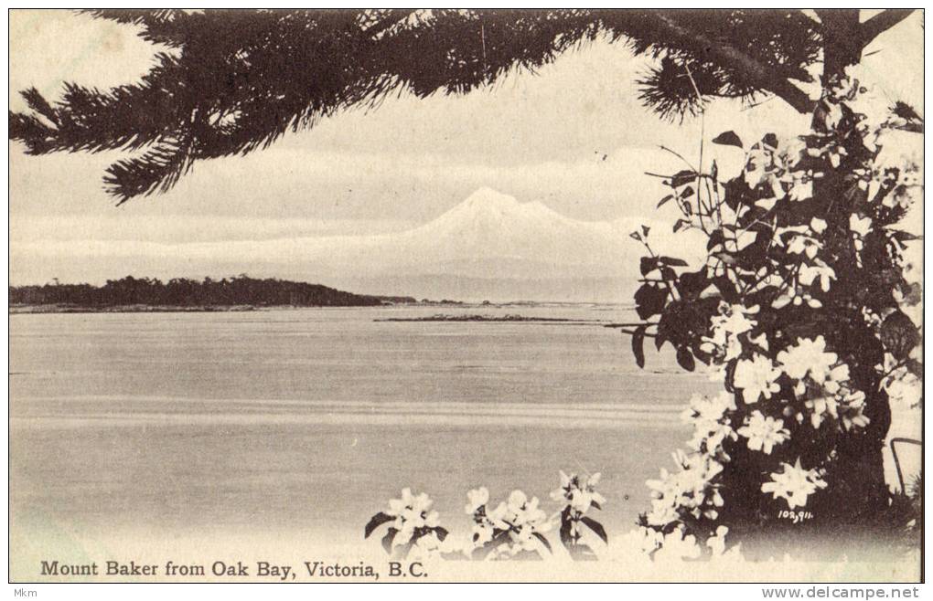 Mount Baker From Oak Bay - Victoria