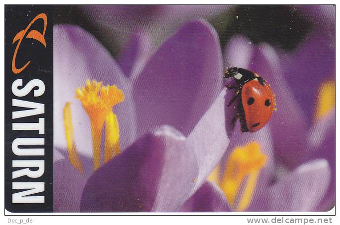 Germany - Gift Card - Giftcard - Geschenkkarte - Käfer - Marienkäfer - Beetle - Ladybird - Ladybugs