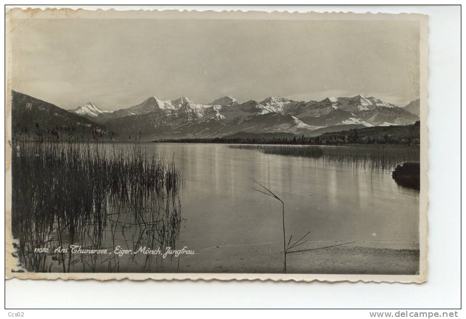 Am Thunersee Eiger Mönch Jungfrau 1951 - Autres & Non Classés