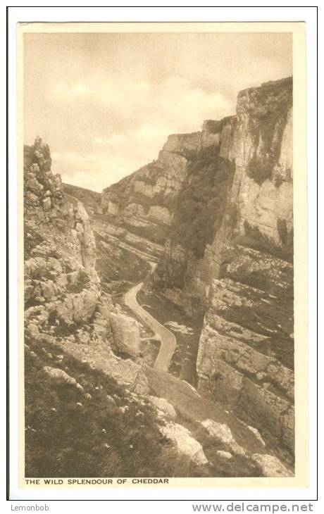 UK, United Kingdom, The Wild Splendor Of Cheddar, Old Unused Postcard [P7550] - Cheddar