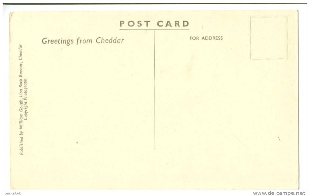 UK, United Kingdom, The Wild Splendor Of Cheddar, Old Unused Postcard [P7550] - Cheddar