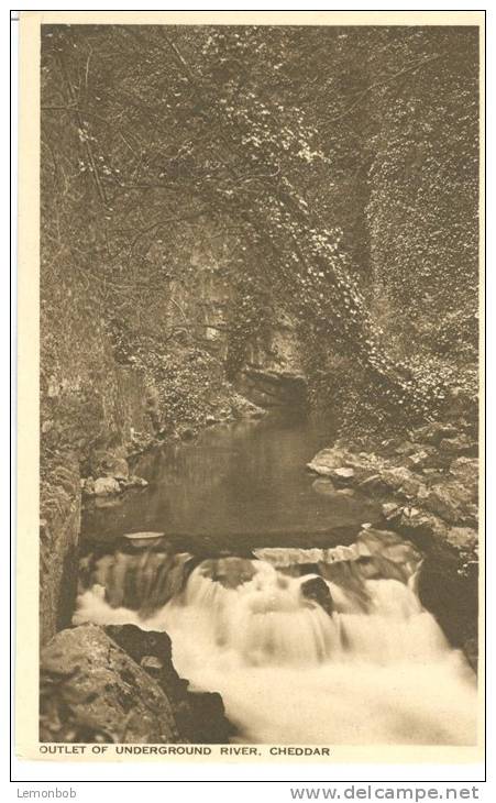 UK, United Kingdom, Outlet Of Underground River Cheddar, Early 1900s Unused Postcard [P7554] - Cheddar