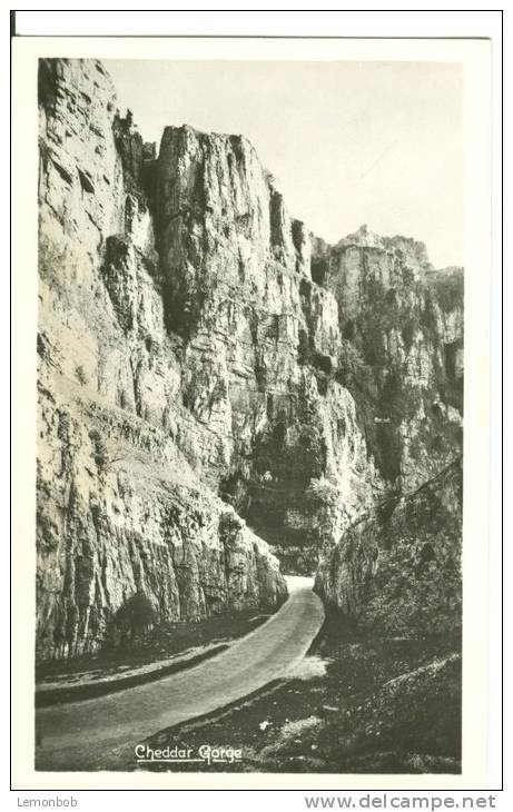 UK, United Kingdom, Cheddar Gorge, 1920s-1930s Unused Real Photo Postcard [P7555] - Cheddar