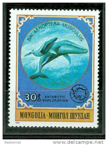 MONGOLIE BALEINE - Wale