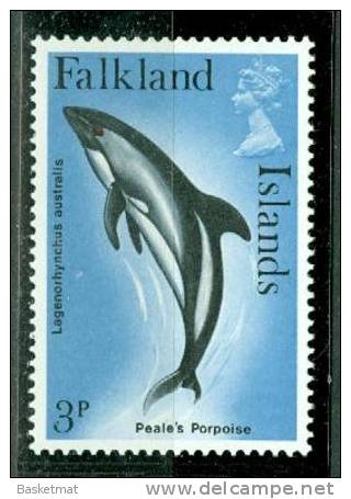 FALKLAND ISLAND BALEINE - Wale