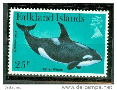 FALKLAND ISLAND BALEINE - Wale